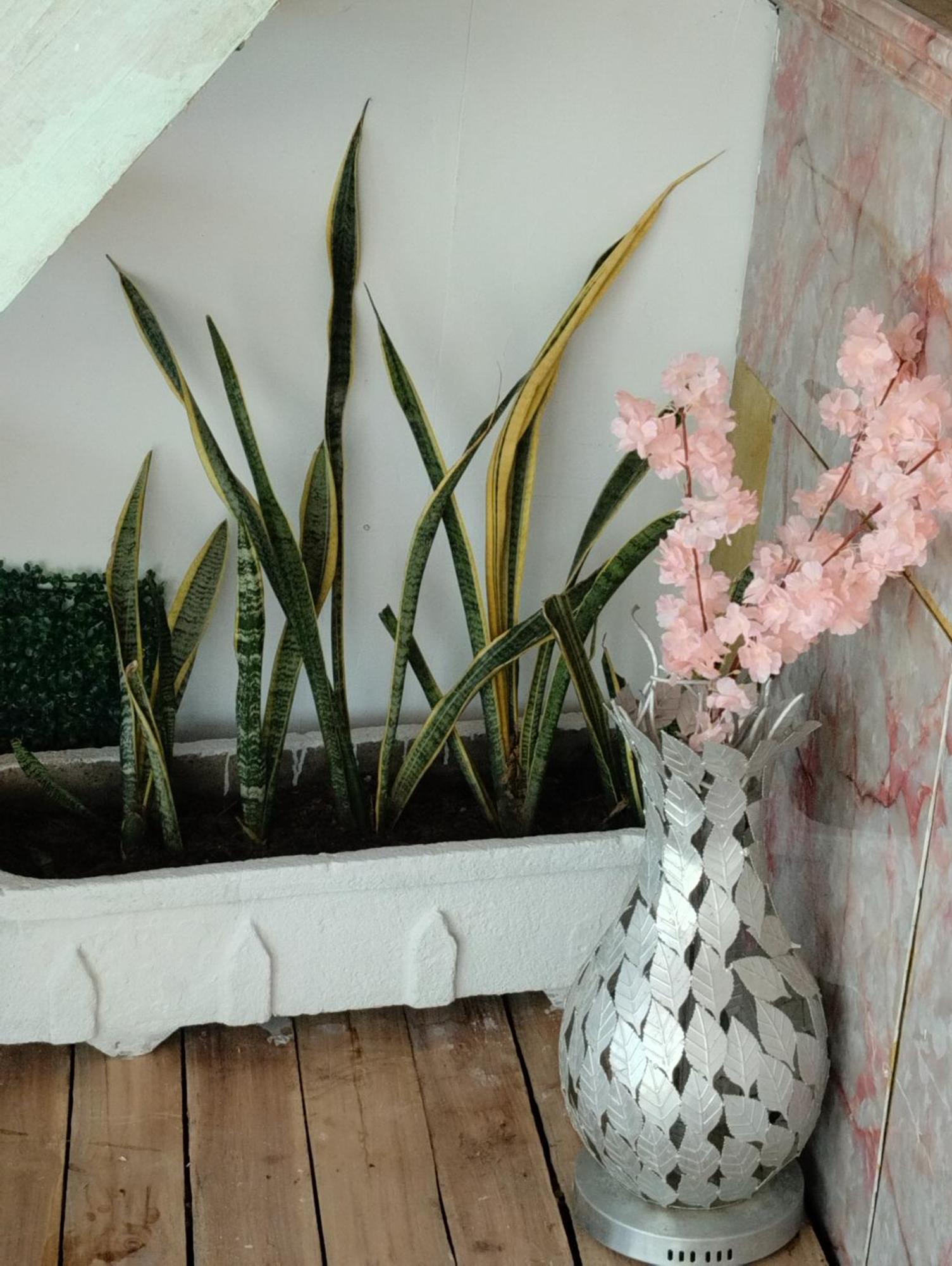 Hostal Lamar Baru Donde Gertrudis Playa Blanca Luaran gambar