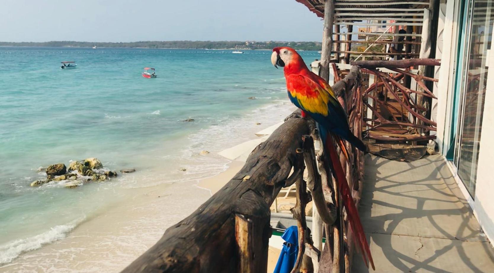 Hostal Lamar Baru Donde Gertrudis Playa Blanca Luaran gambar